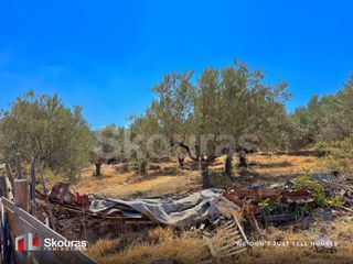 Οικόπεδο 1.784 τ.μ. για πώληση, Αργολίδα, Ασίνη-thumb-23