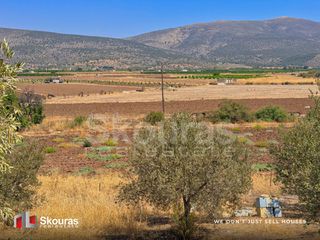 Οικόπεδο 1.784 τ.μ. για πώληση, Αργολίδα, Ασίνη-thumb-10