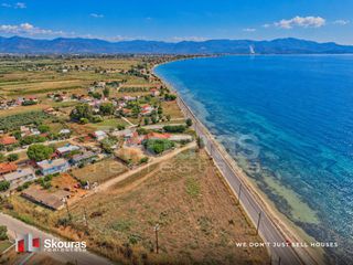 Αγροτεμάχια 9.000 τ.μ. για πώληση, Αργολίδα, Λέρνα-thumb-7