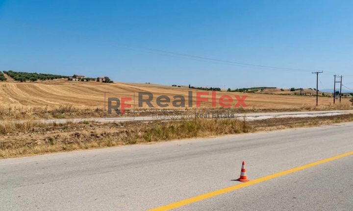 Αγροτεμάχια 20.000 τ.μ. για πώληση, Ν. Λάρισας, Κοιλάδα