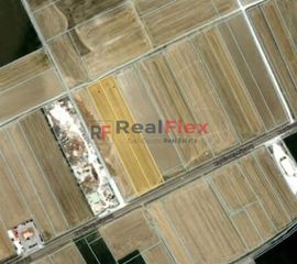 Αγροτεμάχια 20.000 τ.μ. για πώληση, Ν. Λάρισας, Κοιλάδα-thumb-2
