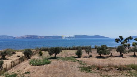 Οικόπεδο 11.987 τ.μ. προς πώληση