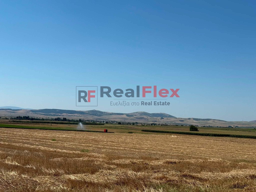 Αγροτεμάχια 55.000 τ.μ. πρός πώληση, Ν. Λάρισας, Κραννώνας