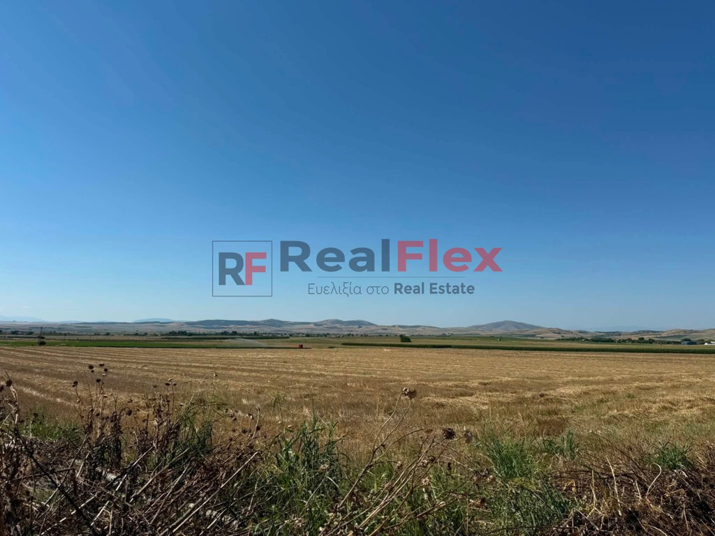 Αγροτεμάχια 55.000 τ.μ. πρός πώληση, Ν. Λάρισας, Κραννώνας