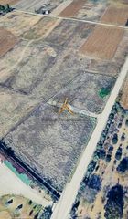 Αγροτεμάχια 6.500 τ.μ. για πώληση
