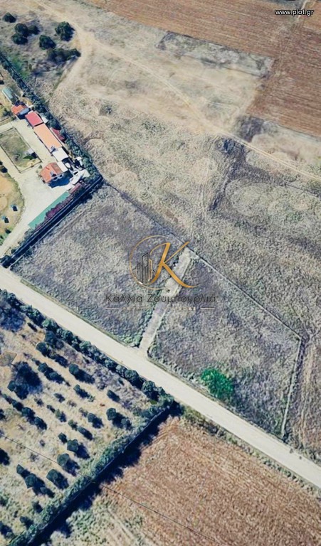 Αγροτεμάχια 6.500 τ.μ. προς πώληση, Νέα Ραιδεστός