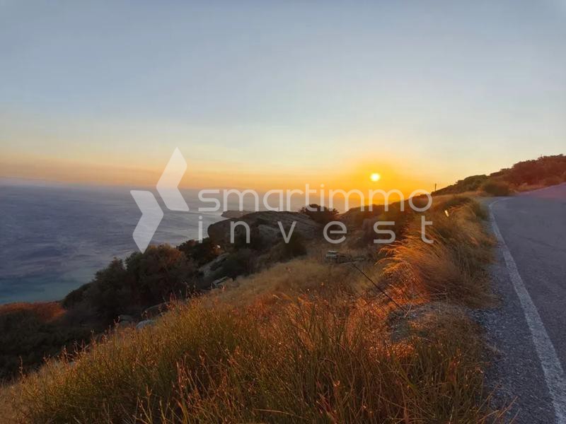Αγροτεμάχια 12.448 τ.μ. πρός πώληση, Κυκλάδες, Άνδρος