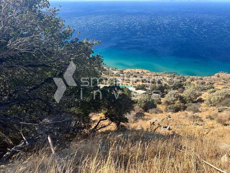 Αγροτεμάχια 12.448 τ.μ. πρός πώληση, Κυκλάδες, Άνδρος