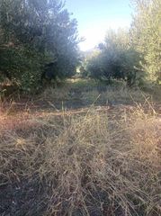 Αγροτεμάχια 8.500 τ.μ. για πώληση, Ν. Καβάλας, Χρυσούπολη-thumb-3