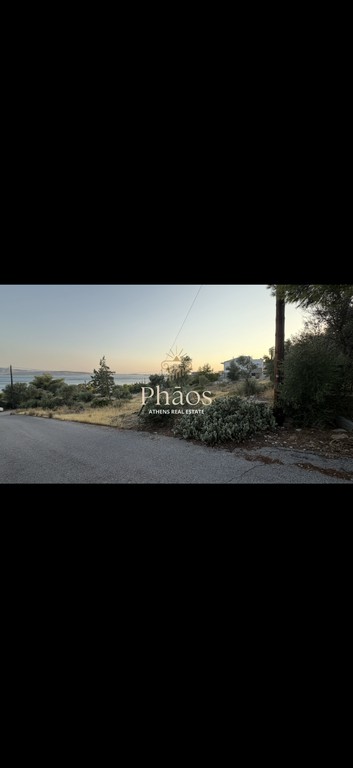 Οικόπεδο 1.245 τ.μ. προς πώληση, Αττική - Υπόλοιπο, Νέα Πέραμος (μεγάλο Πεύκο)