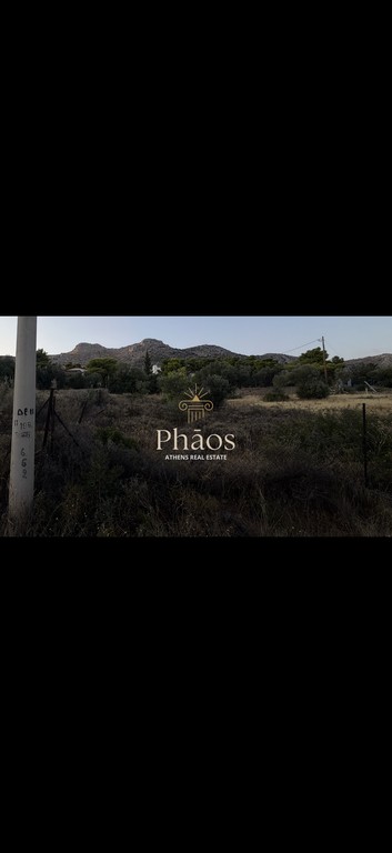 Οικόπεδο 1.245 τ.μ. προς πώληση, Αττική - Υπόλοιπο, Νέα Πέραμος (μεγάλο Πεύκο)