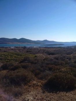 Land plot 1.000 sqm for sale