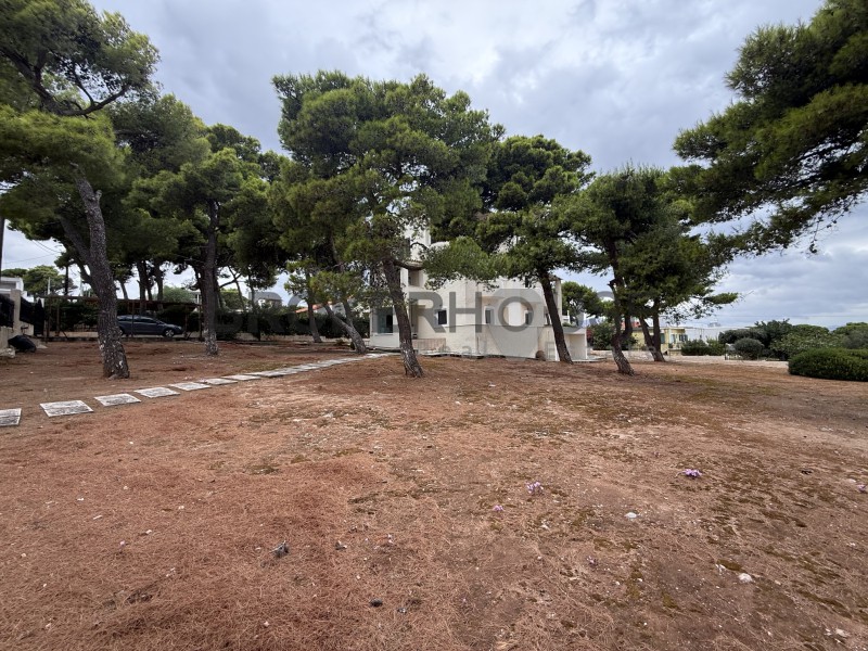 Μονοκατοικία 400 τ.μ. πρός ενοικίαση, Αθήνα - Ανατολικά Προάστια, Νέα Μάκρη