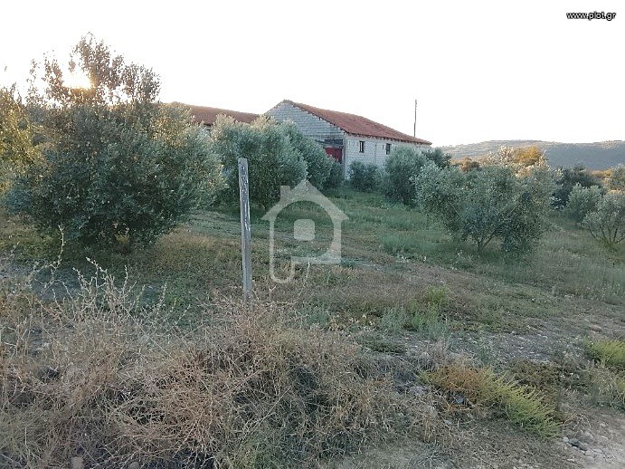 Αγροτεμάχια 10.000 τ.μ. πρός πώληση, Ν. Σερρών, Αμφίπολη