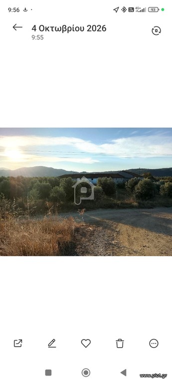 Αγροτεμάχια 10.000 τ.μ. πρός πώληση, Ν. Σερρών, Αμφίπολη