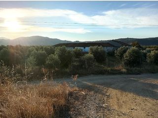 Αγροτεμάχια 10.000 τ.μ. για πώληση, Ν. Σερρών, Αμφίπολη-thumb-5