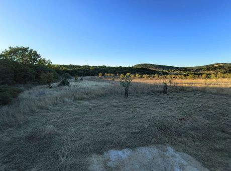 Αγροτεμάχια 13.308 τ.μ. προς πώληση