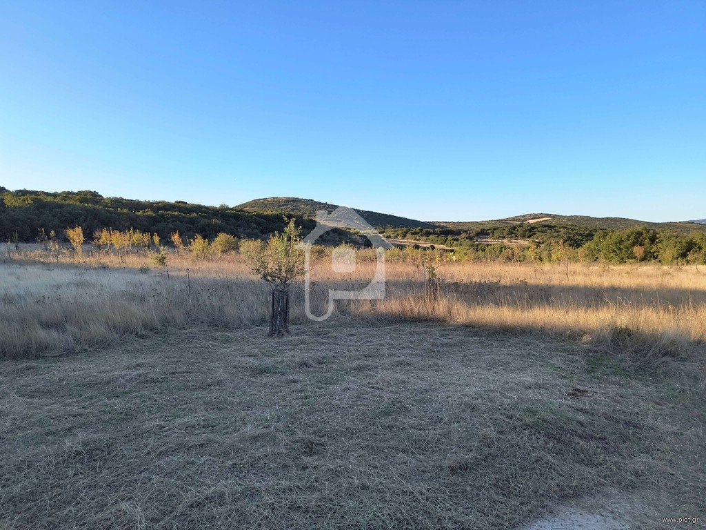 Αγροτεμάχια 13.308 τ.μ. πρός πώληση, Μαγνησία, Νέα Ιωνία Βόλου