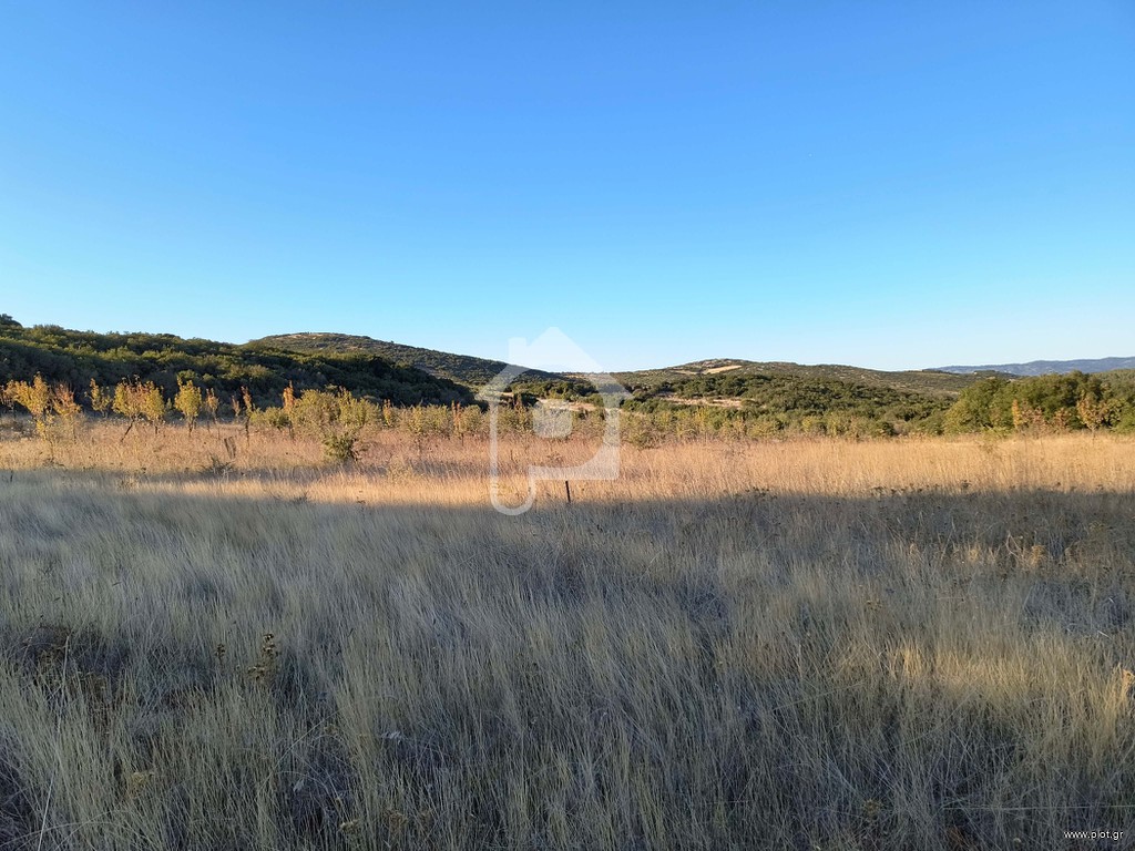 Αγροτεμάχια 13.308 τ.μ. πρός πώληση, Μαγνησία, Νέα Ιωνία Βόλου