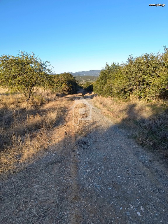 Αγροτεμάχια 13.308 τ.μ. πρός πώληση, Μαγνησία, Νέα Ιωνία Βόλου