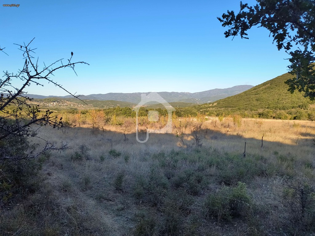 Αγροτεμάχια 13.308 τ.μ. πρός πώληση, Μαγνησία, Νέα Ιωνία Βόλου