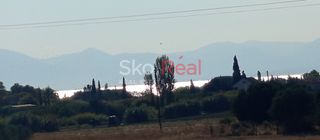 Αγροτεμάχια 15.000 τ.μ. για πώληση