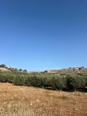 Οικόπεδο 1.000 τ.μ. για πώληση