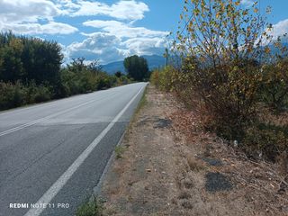Αγροτεμάχια 7.249 τ.μ. για πώληση, Πέλλα, Αριδαία-thumb-4