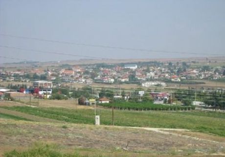 Αγροτεμάχια 12.154 τ.μ. προς πώληση