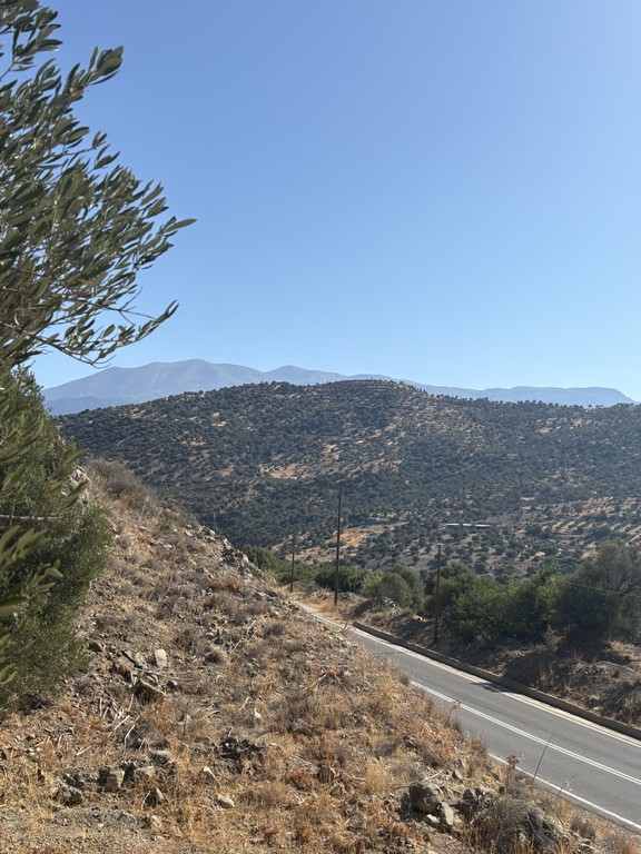 Αγροτεμάχια 6.808 τ.μ. πρός πώληση, Ν. Ρεθύμνου, Λάμπη