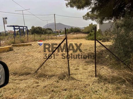 Αγροτεμάχια 255 τ.μ. προς πώληση