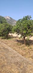 Land plot 1.350 sqm for sale