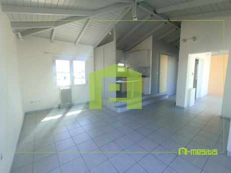 Studio 43 sqm for rent