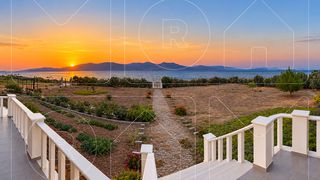 Συγκρότημα διαμερισμάτων 535 τ.μ. πρός πώληση, Ν. Λέσβου, Λέσβος - Πολιχνίτος-thumb-8