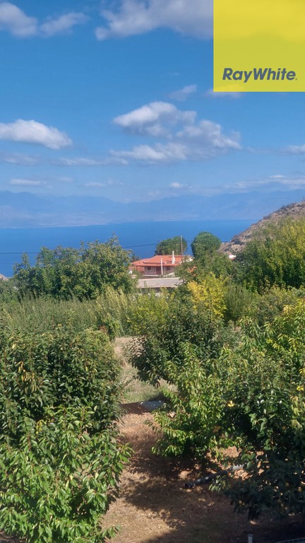 Μονοκατοικία 145 τ.μ. πρός πώληση, Κορινθία, Ευρωστίνη