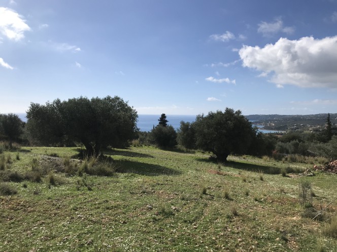Αγροτεμάχια 3.567 τ.μ. πρός πώληση, Ν. Κεφαλονιάς, Κεφαλονιά