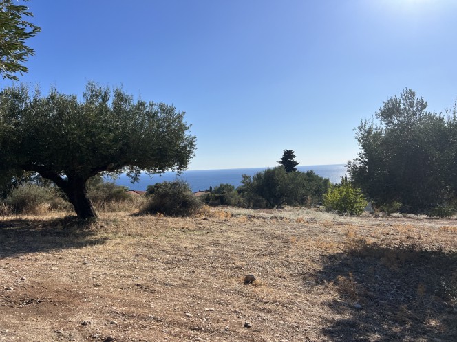 Αγροτεμάχια 3.567 τ.μ. πρός πώληση, Ν. Κεφαλονιάς, Κεφαλονιά