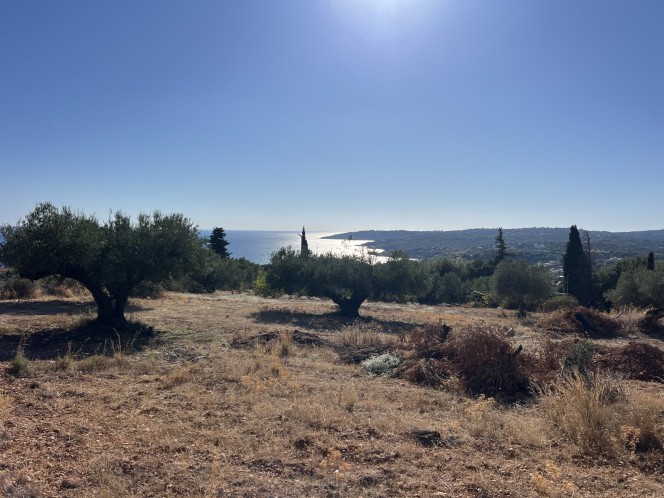 Αγροτεμάχια 3.567 τ.μ. πρός πώληση, Ν. Κεφαλονιάς, Κεφαλονιά