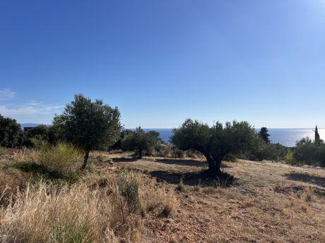 Αγροτεμάχια 3.567 τ.μ. πρός πώληση