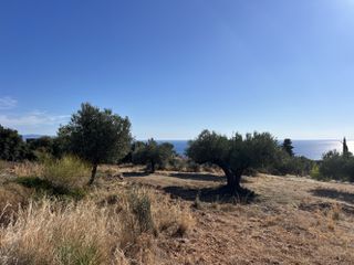 Αγροτεμάχια 3.567 τ.μ. για πώληση