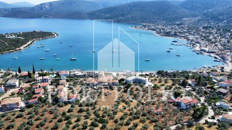 Οικόπεδο 6.000 τ.μ. πρός πώληση