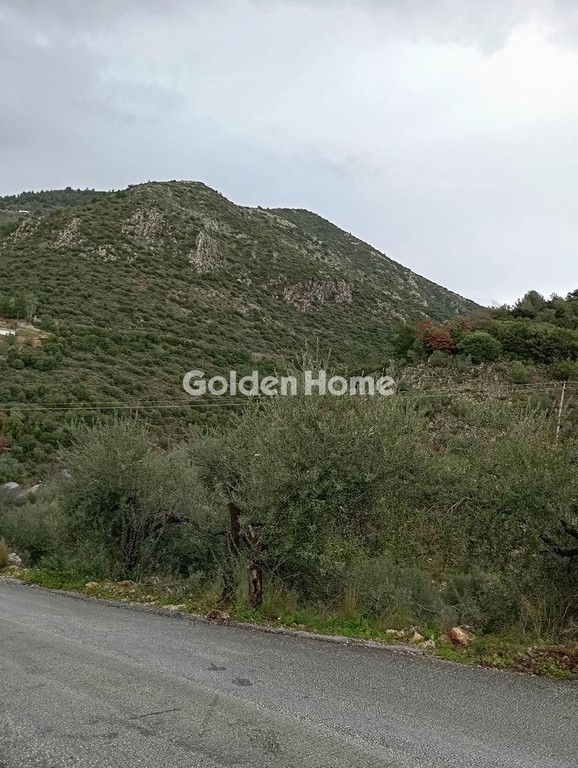 Οικόπεδο 300 τ.μ. προς πώληση, Γραικοχώρι