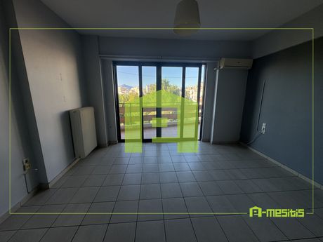 Studio 33 sqm for rent