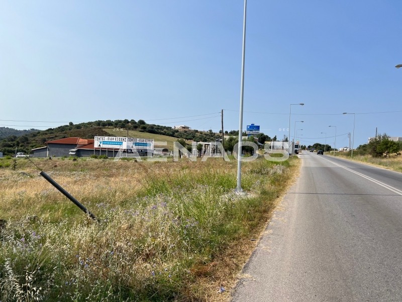 Αγροτεμάχια 2.300 τ.μ. πρός πώληση, Χαλκιδική, Σιθωνία