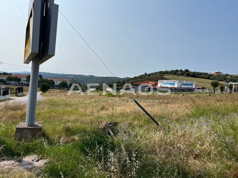Αγροτεμάχια 2.300 τ.μ. πρός πώληση, Χαλκιδική, Σιθωνία