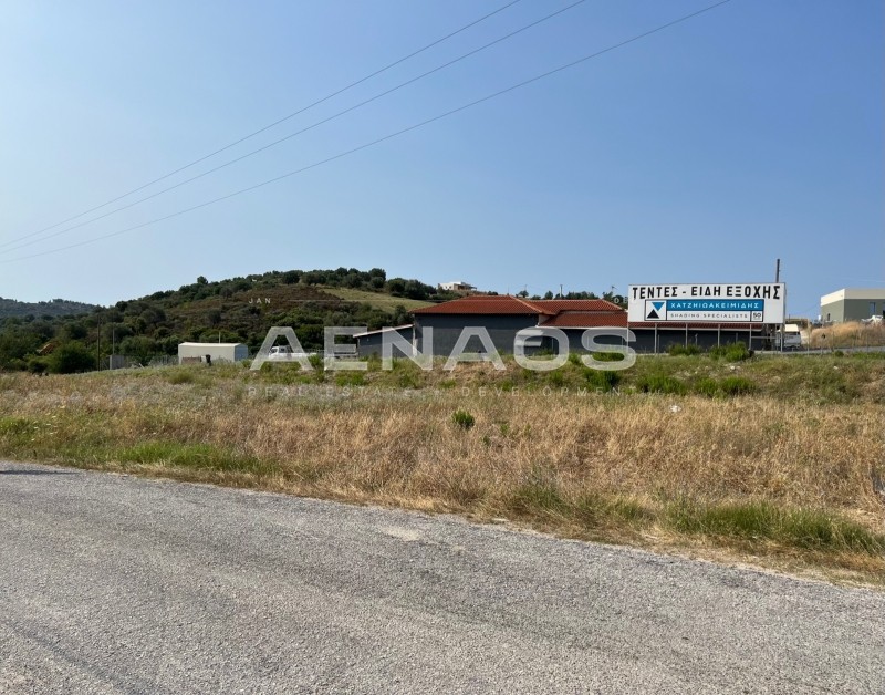 Αγροτεμάχια 2.300 τ.μ. πρός πώληση, Χαλκιδική, Σιθωνία