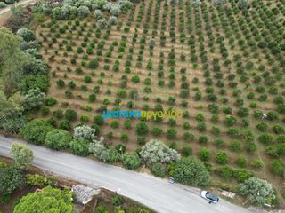 Οικόπεδο 12.470 τ.μ. για πώληση, Αργολίδα, Μυκήνες-thumb-2