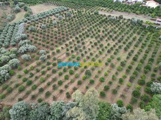 Οικόπεδο 12.470 τ.μ. για πώληση, Αργολίδα, Μυκήνες-thumb-3
