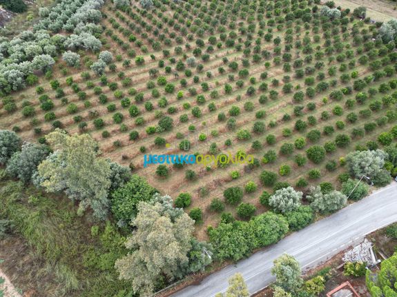 Οικόπεδο 12.470 τ.μ. για πώληση, Αργολίδα, Μυκήνες