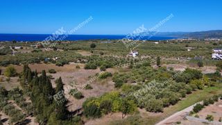 Οικόπεδο 4.027 τ.μ. πρός πώληση, Μεσσηνία, Κυπαρισσία-thumb-12